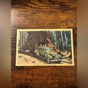 Vintage Yosemite National Park Wawona Mariposa Grove of Big Trees Postcard
